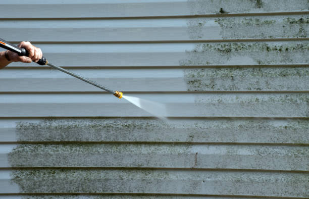 Best Building Exterior Washing  in Ruleville, MS